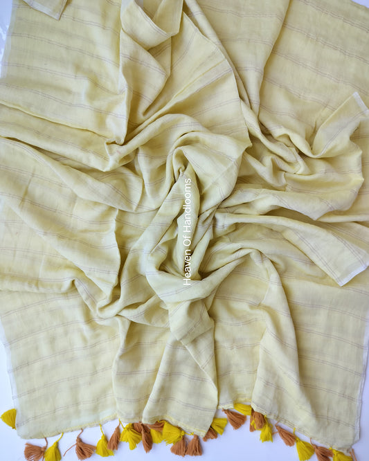 Contemporary Saree - Pale Yellow with Double Zari Lines