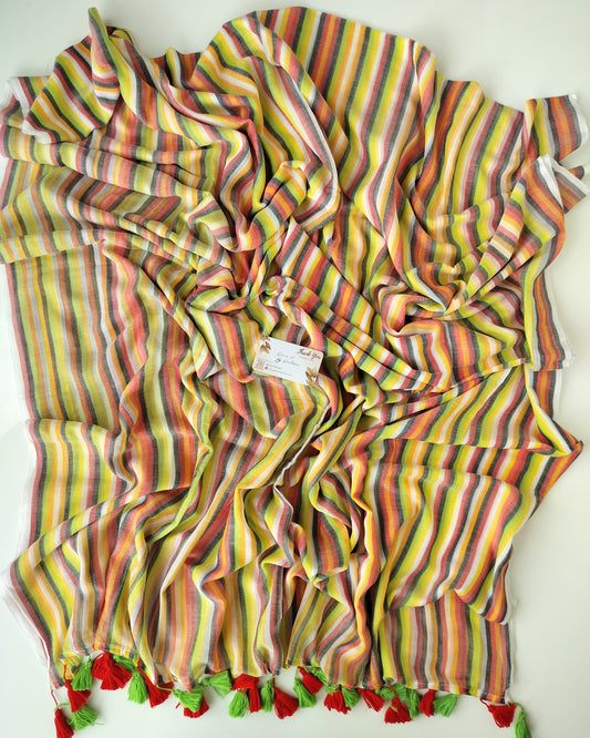 Corporate Choice - Color Serape