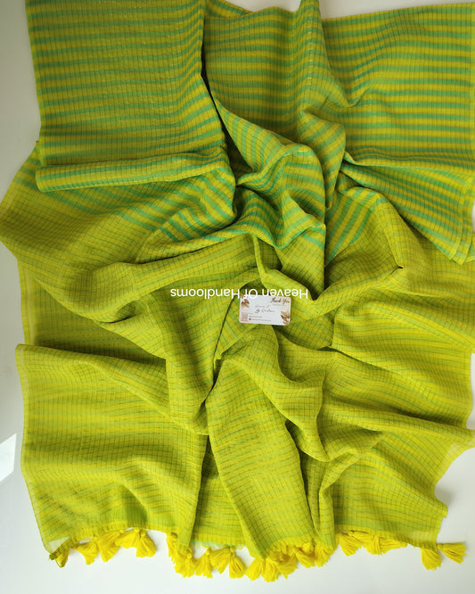 Festive Saree - Green Golden Checked