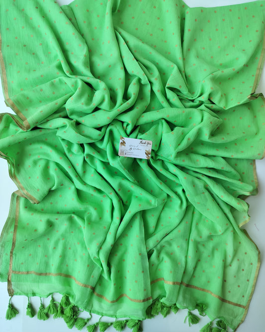 Printed Saree - Pistachio